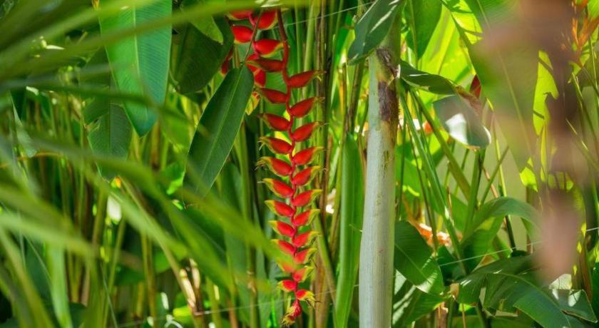Villa Burung Gili Air Ngoại thất bức ảnh